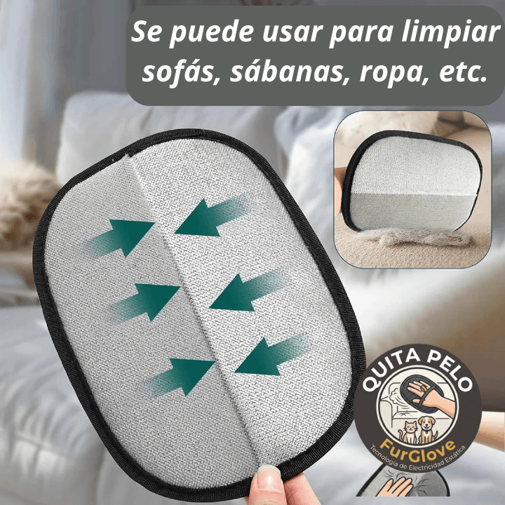 El pelo de tu mascota está en el sofá, la ropa y hasta en el auto.