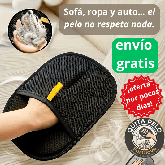 El pelo de tu mascota está en el sofá, la ropa y hasta en el auto.