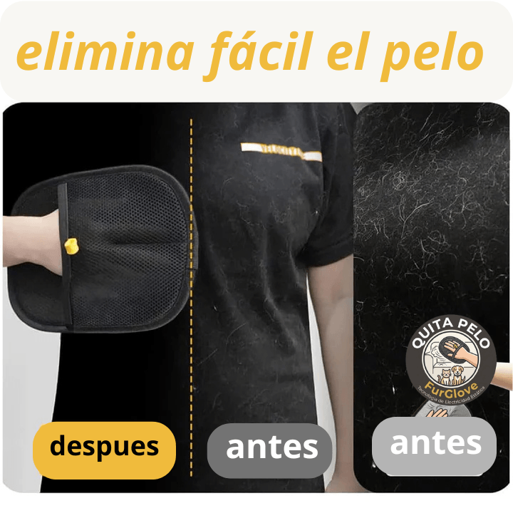 El pelo de tu mascota está en el sofá, la ropa y hasta en el auto.